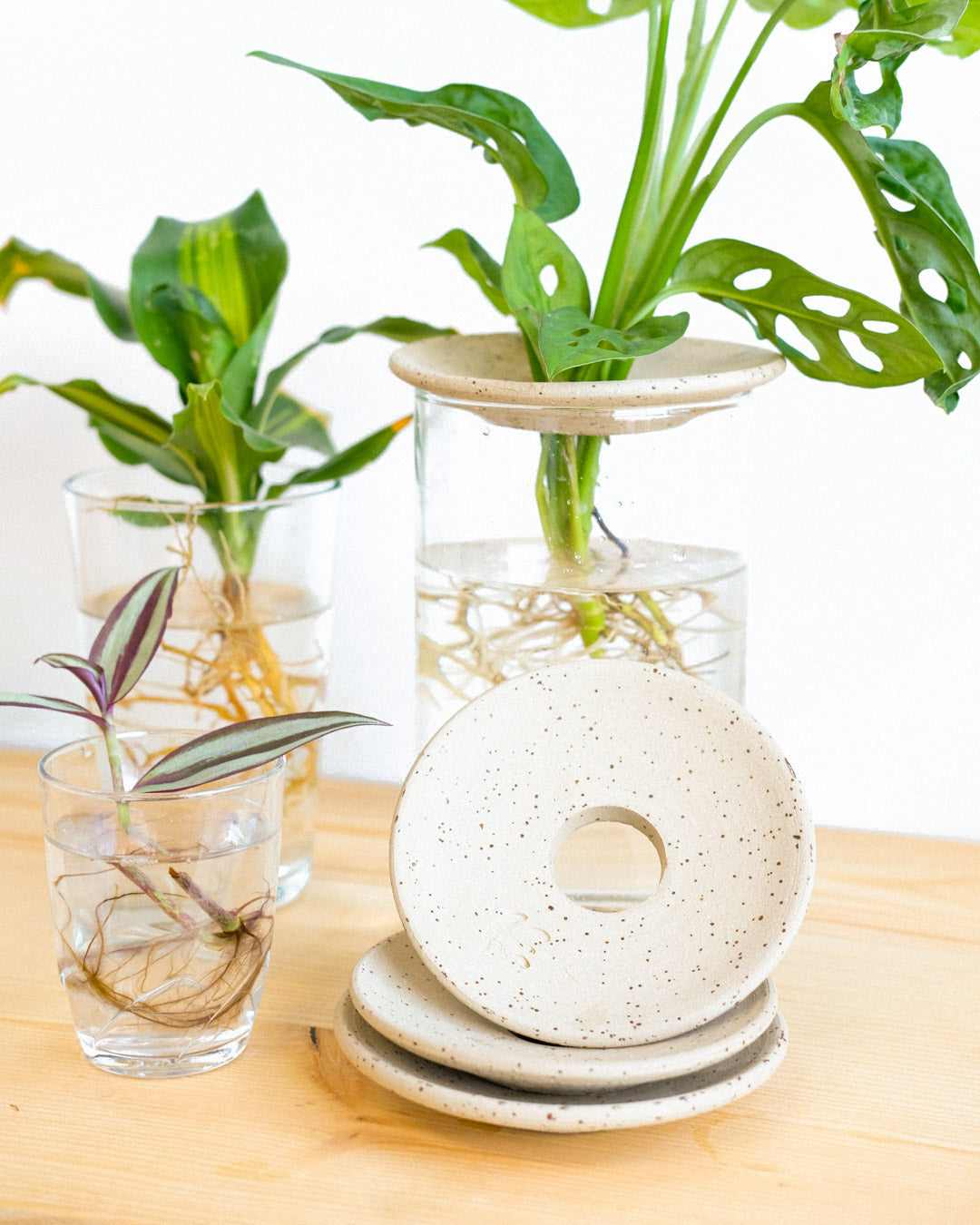 Hydroculture plate