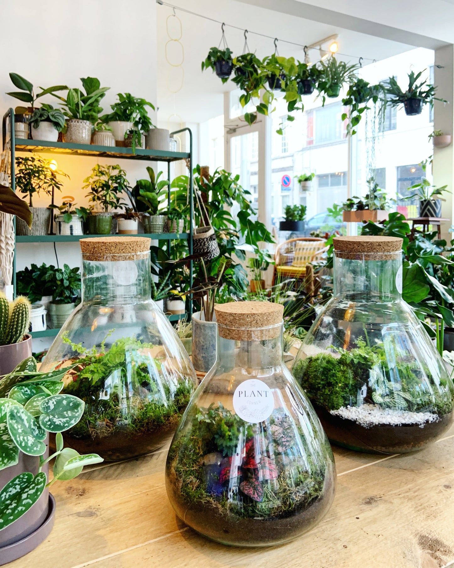 Workshop - Make your own glass terrarium - Wednesday 27/09/23