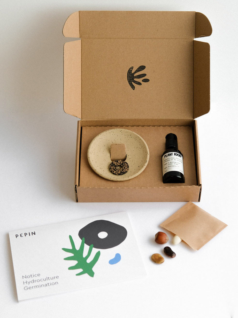 Germination box