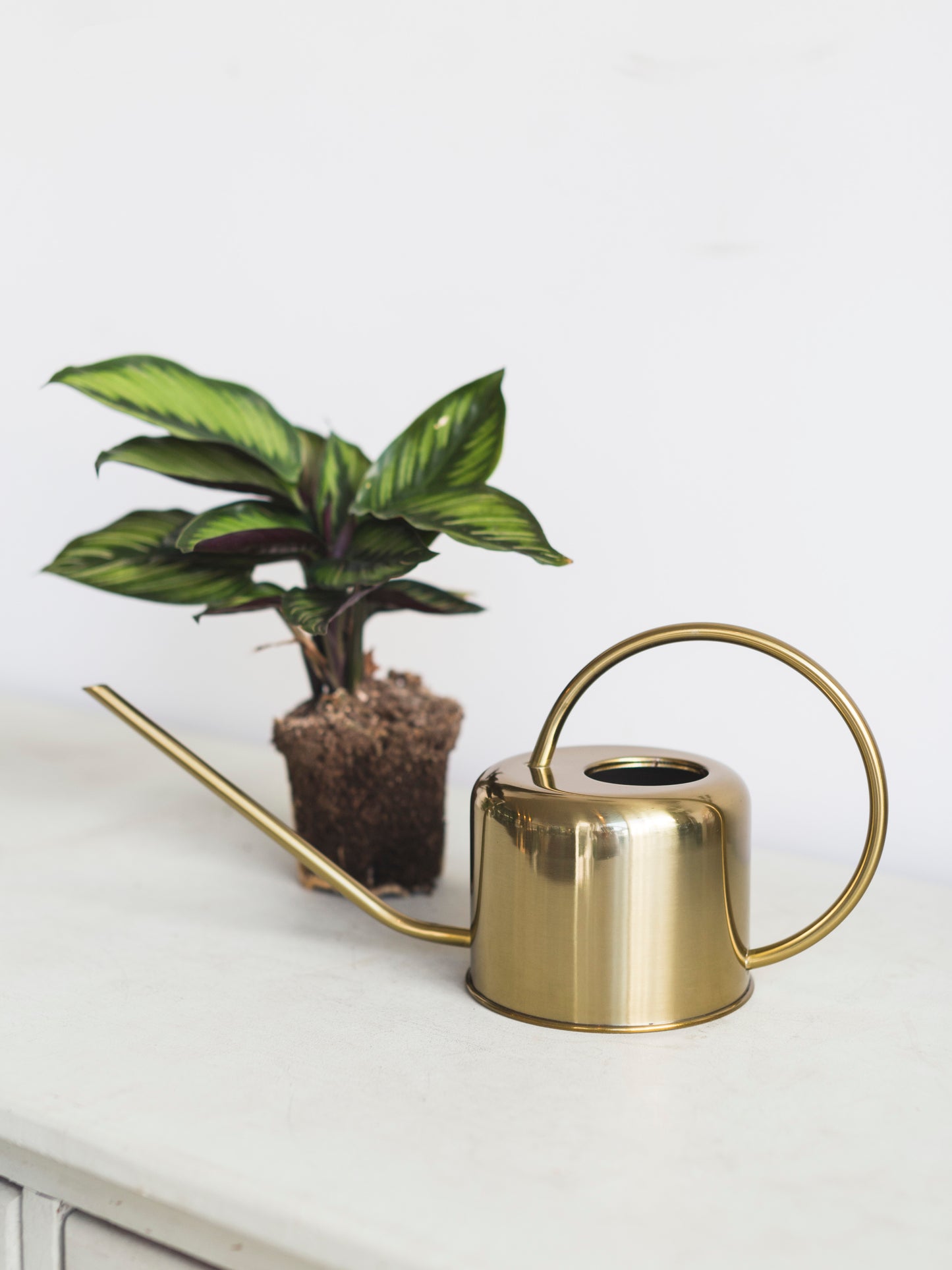 Metal watering can 1 liter