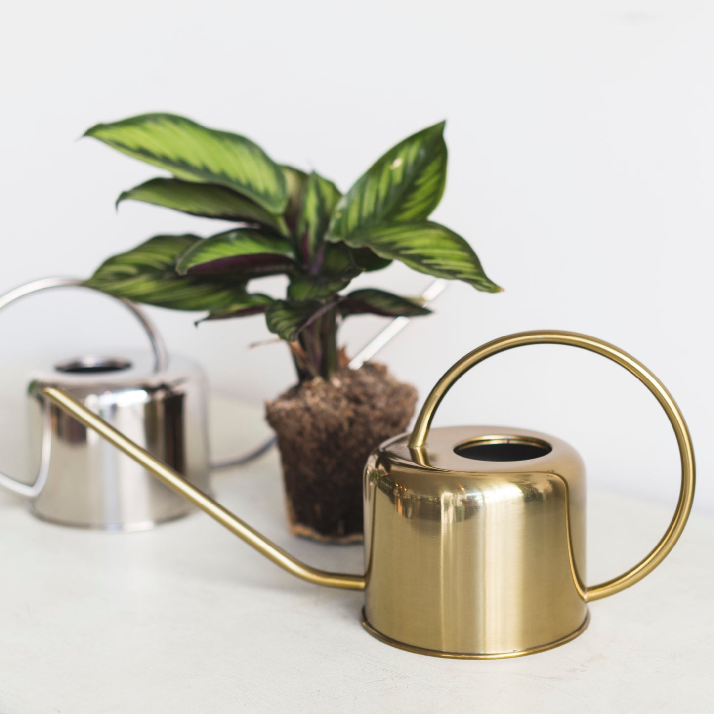 Metal watering can 1 liter
