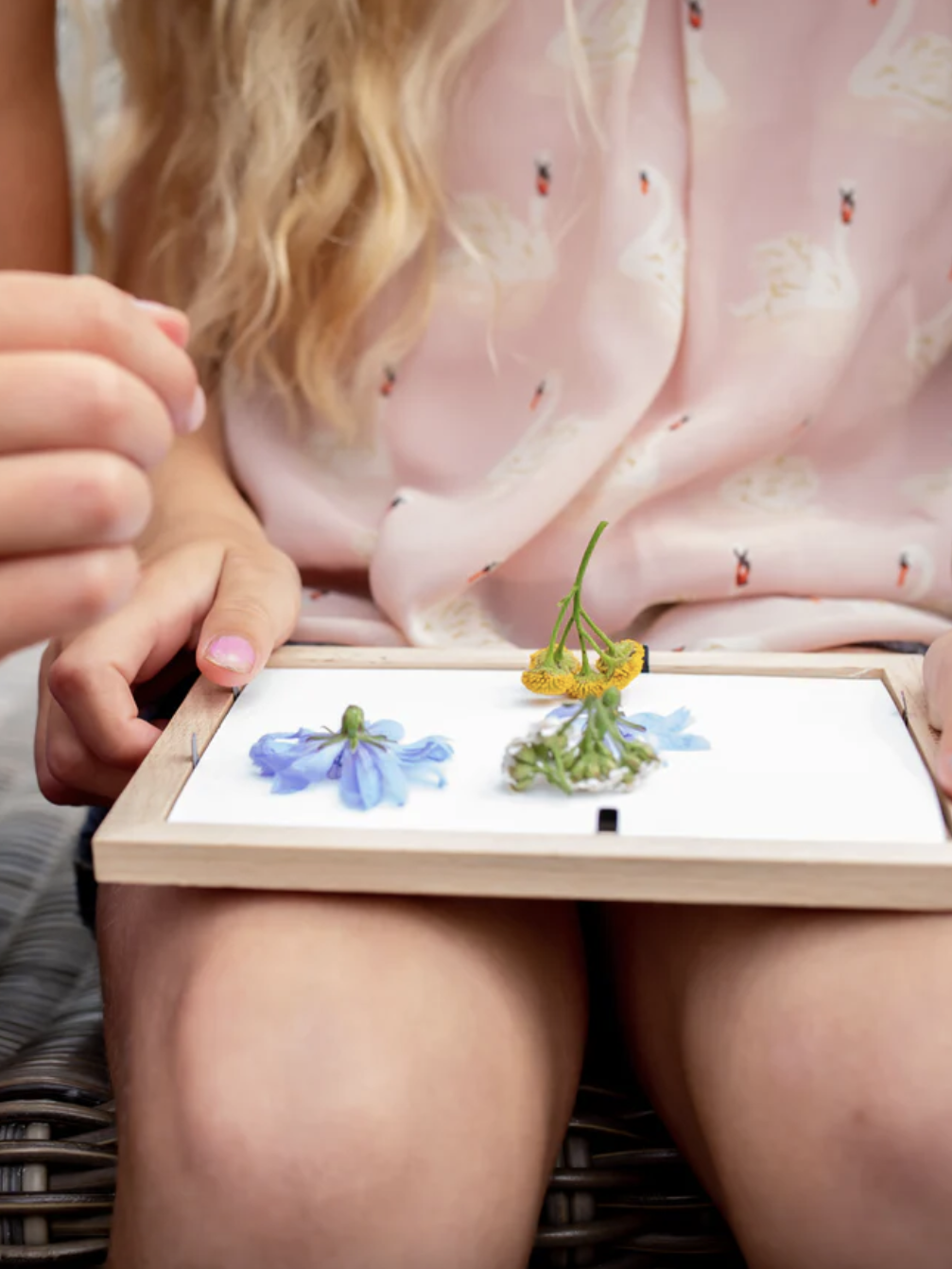 Pressed flower frame kit