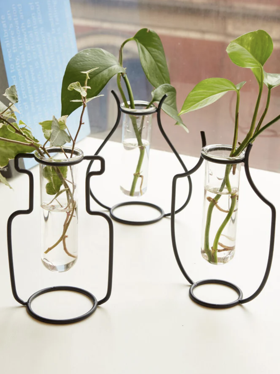 Propagation vases