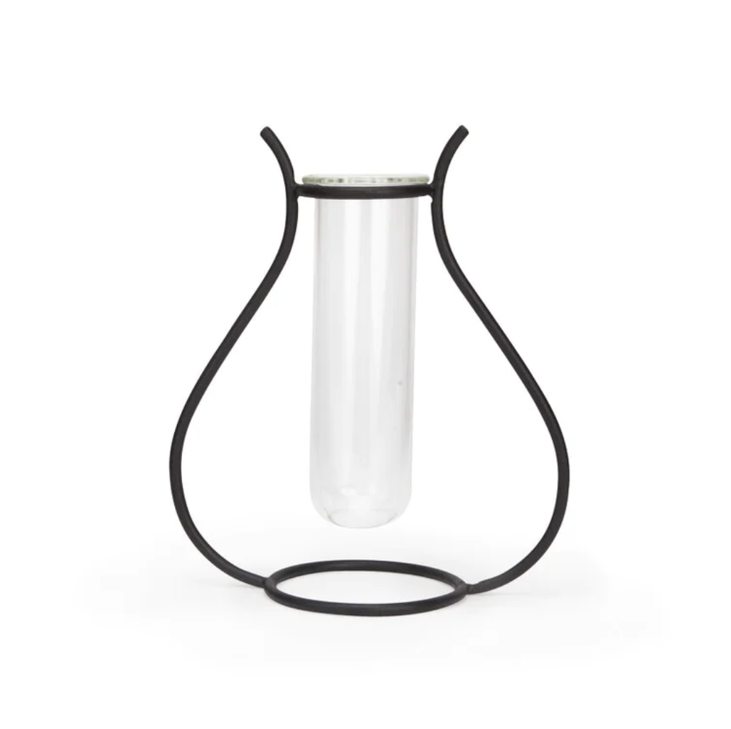 Propagation vases