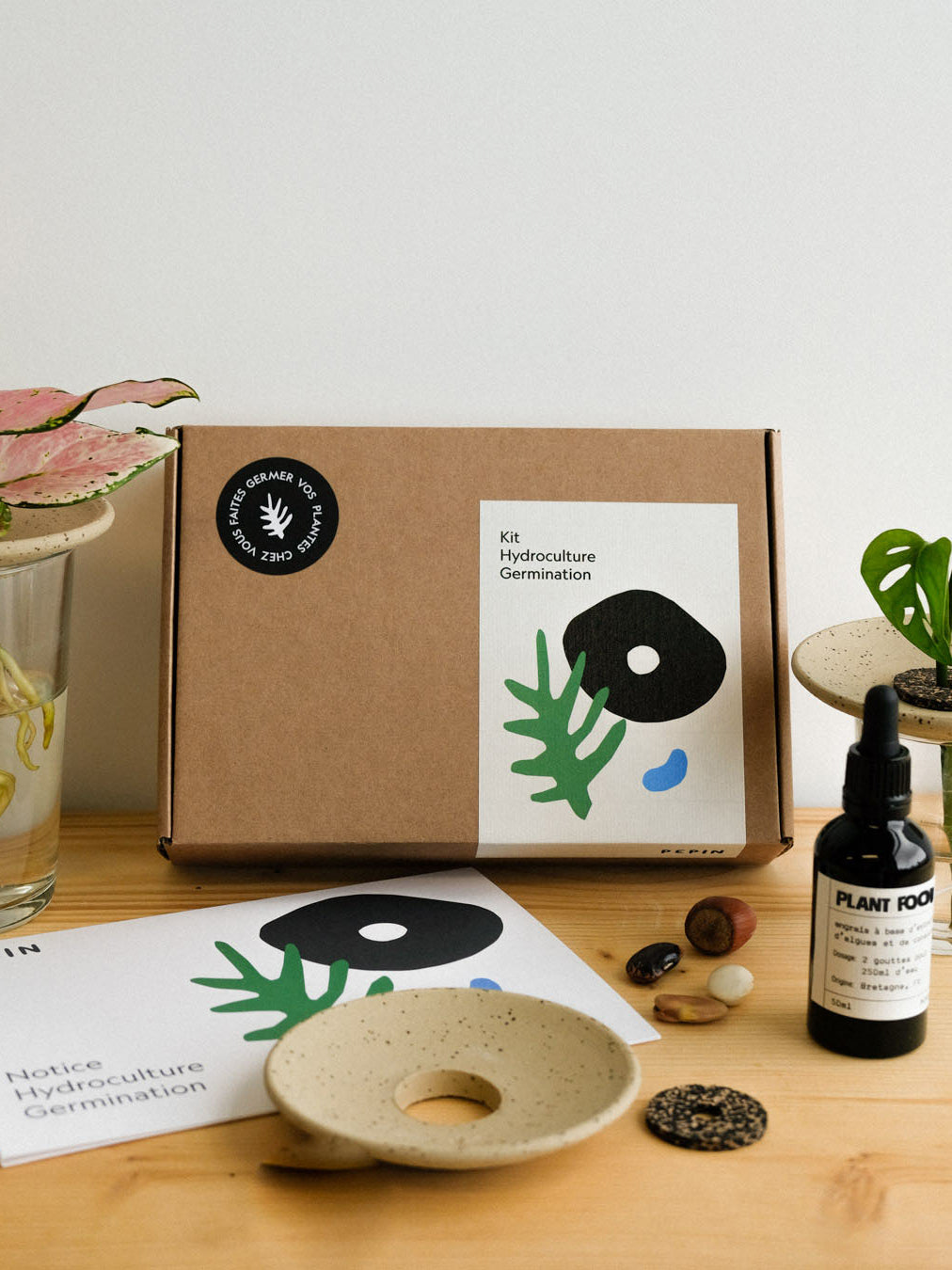 Germination box