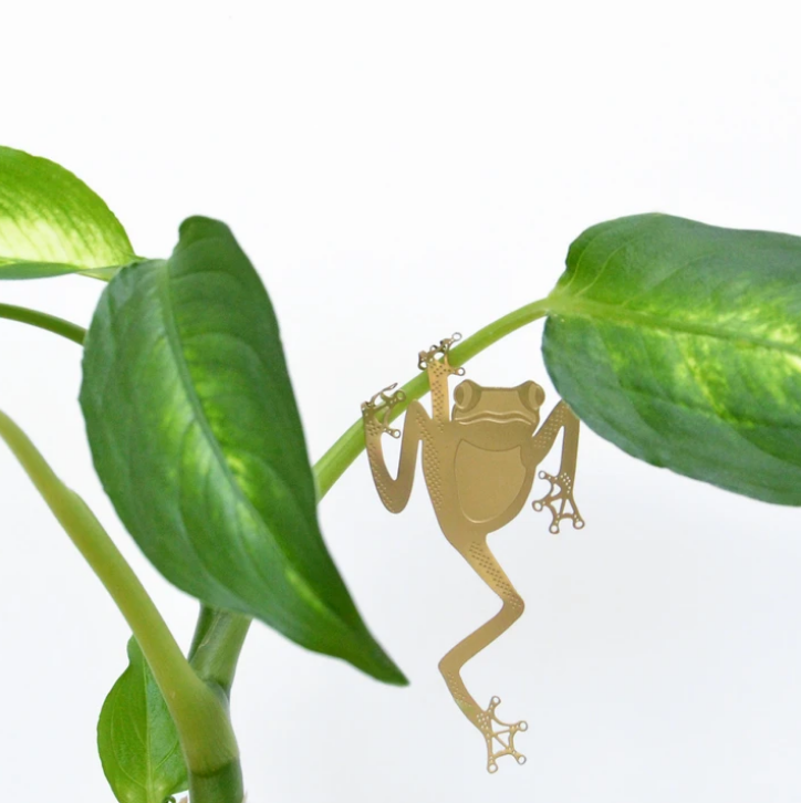 Plant animals
