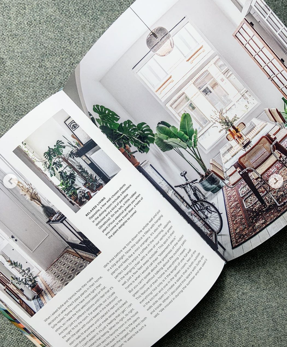 Wild Interiors (featuring The Plant Corner)