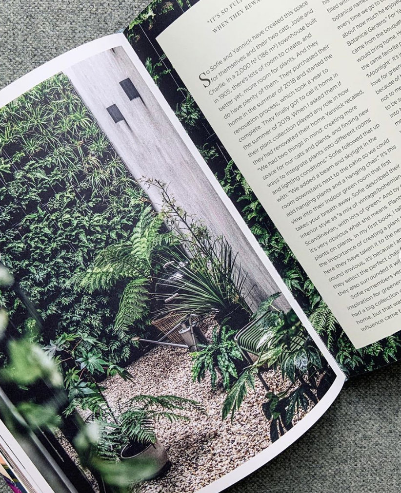 Wild Interiors (featuring The Plant Corner)