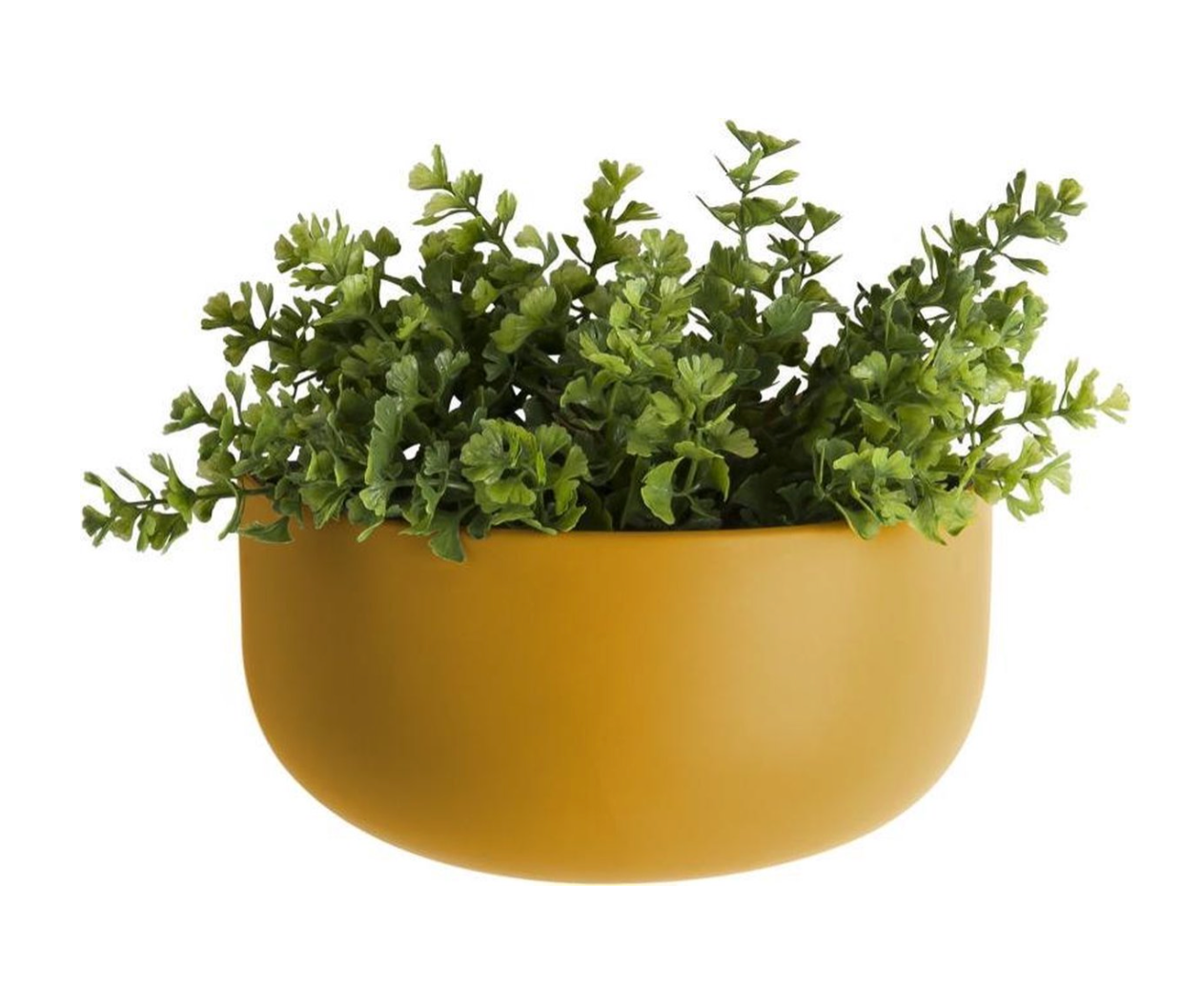 Wall pot