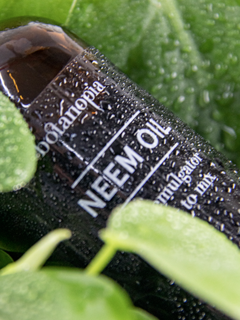 Neem oil