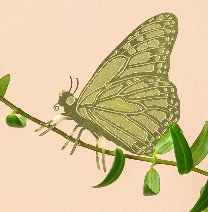 Plant animals