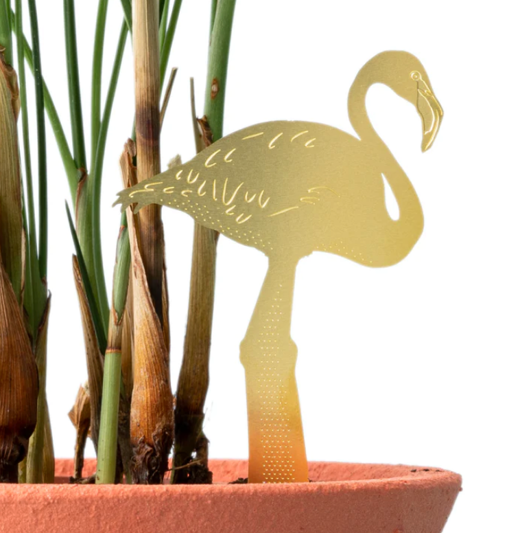 Plant animals