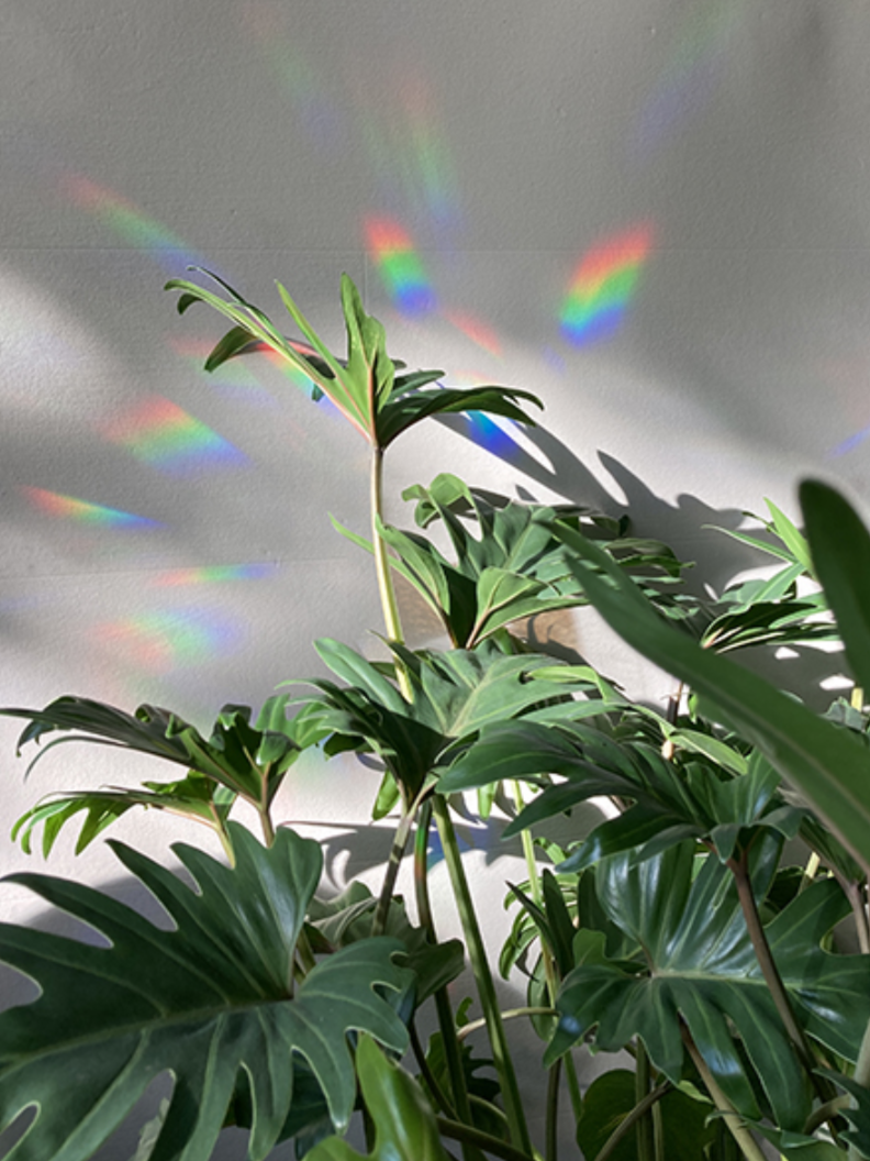 Rainbow maker