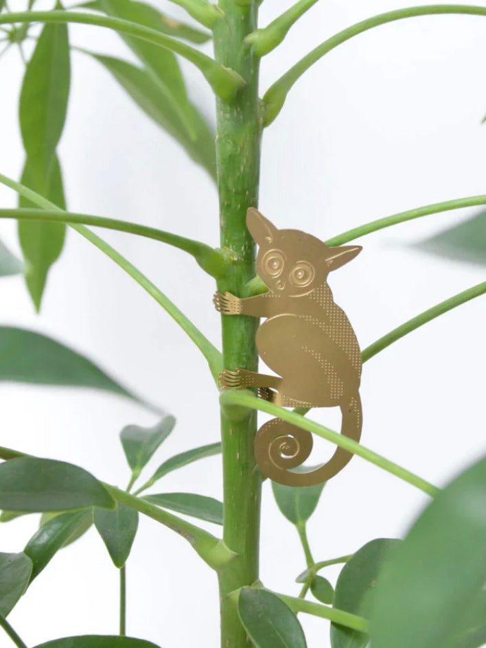 Plant animals