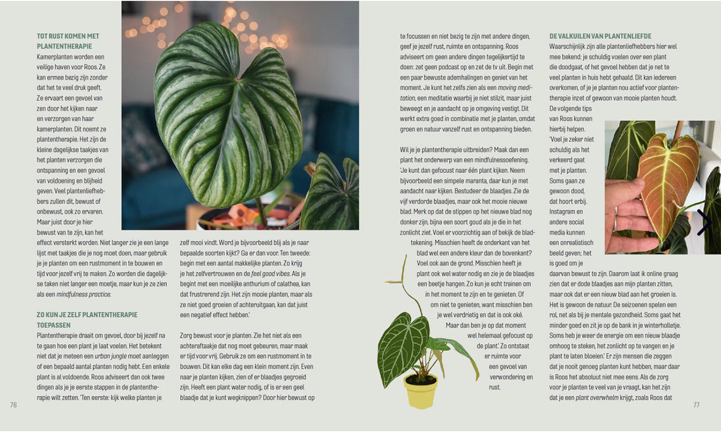 Hello plant lovers