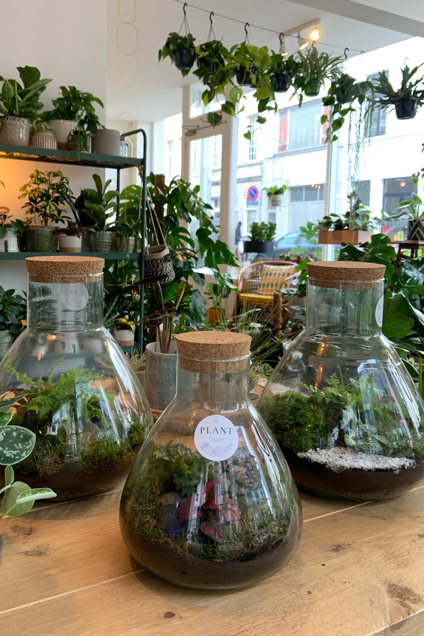 Workshop - Make your own terrarium 03/05/2023