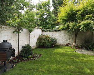 Tuin met gras en flagstones