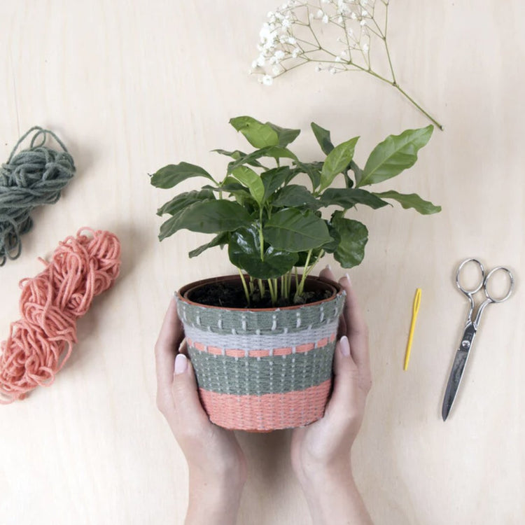 Piepen Artistiek bossen Groene geschenken & accessoires – The Plant Corner