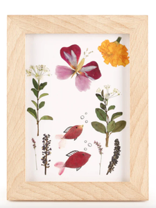 Pressed flower frame kit