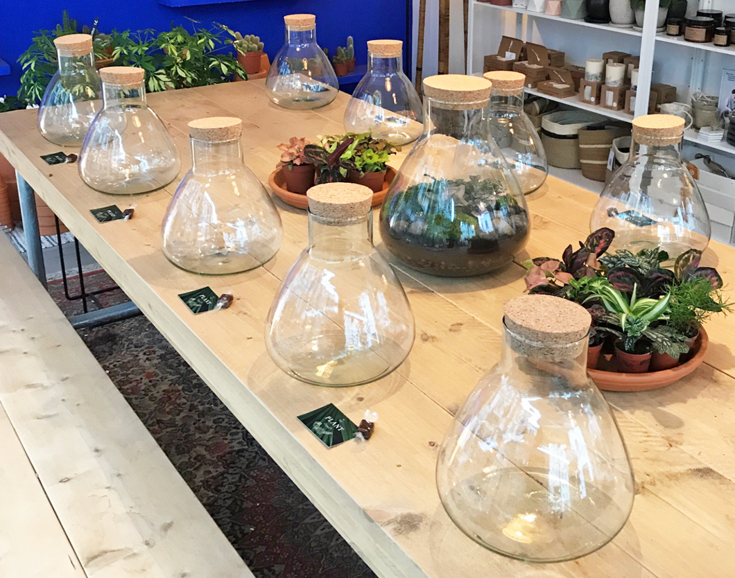 Workshop - Make your own glass terrarium - Wednesday 27/09/23