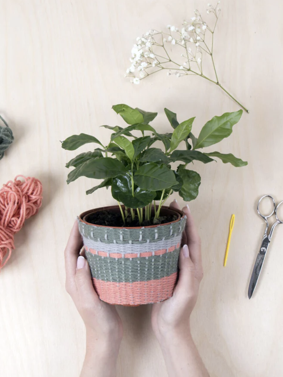 Knit your own plant cover kit
