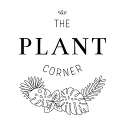 The Plant Corner