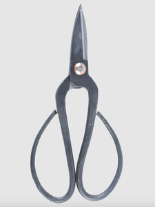 Japanese scissor