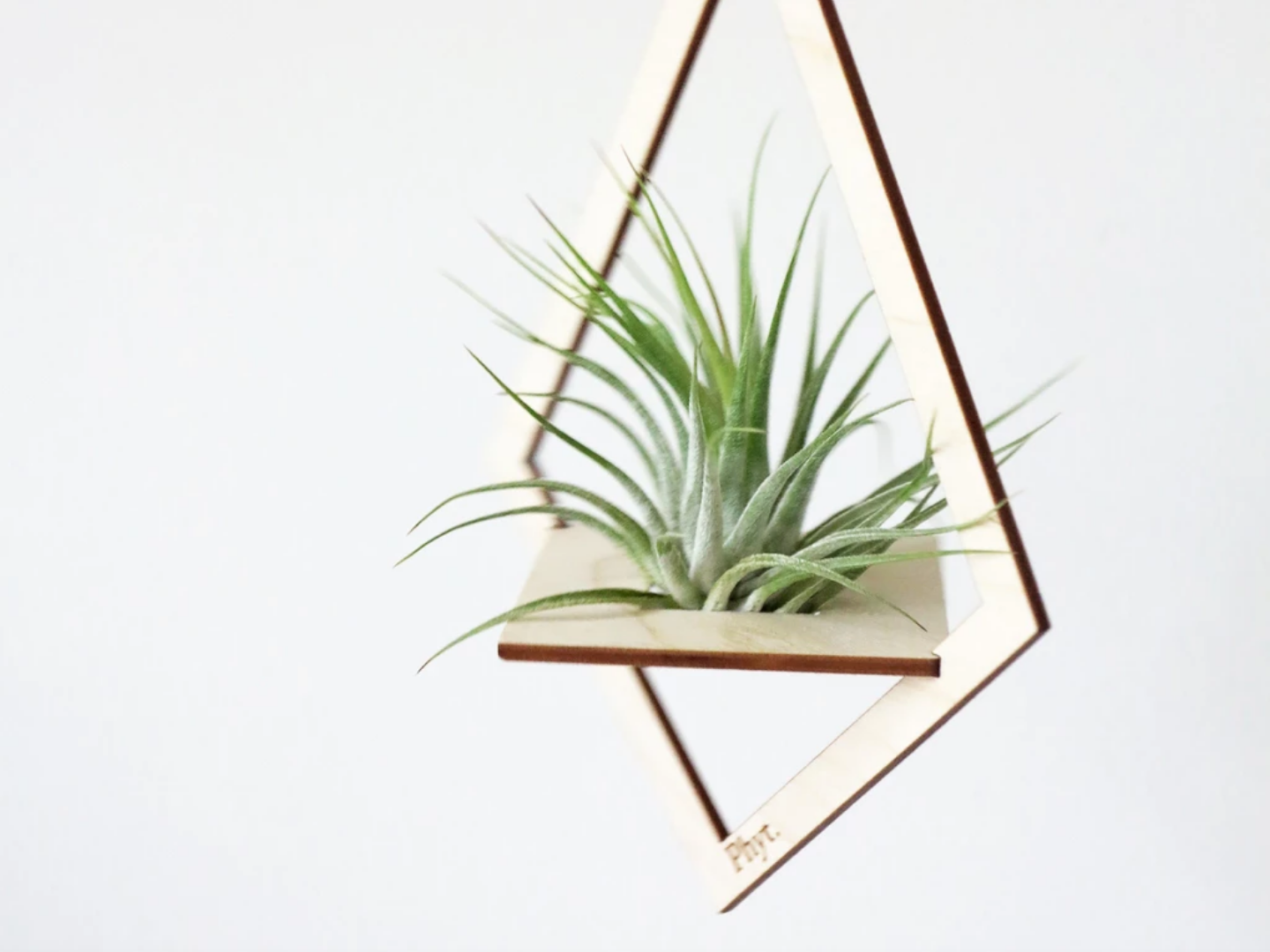 Ursa wood hanger