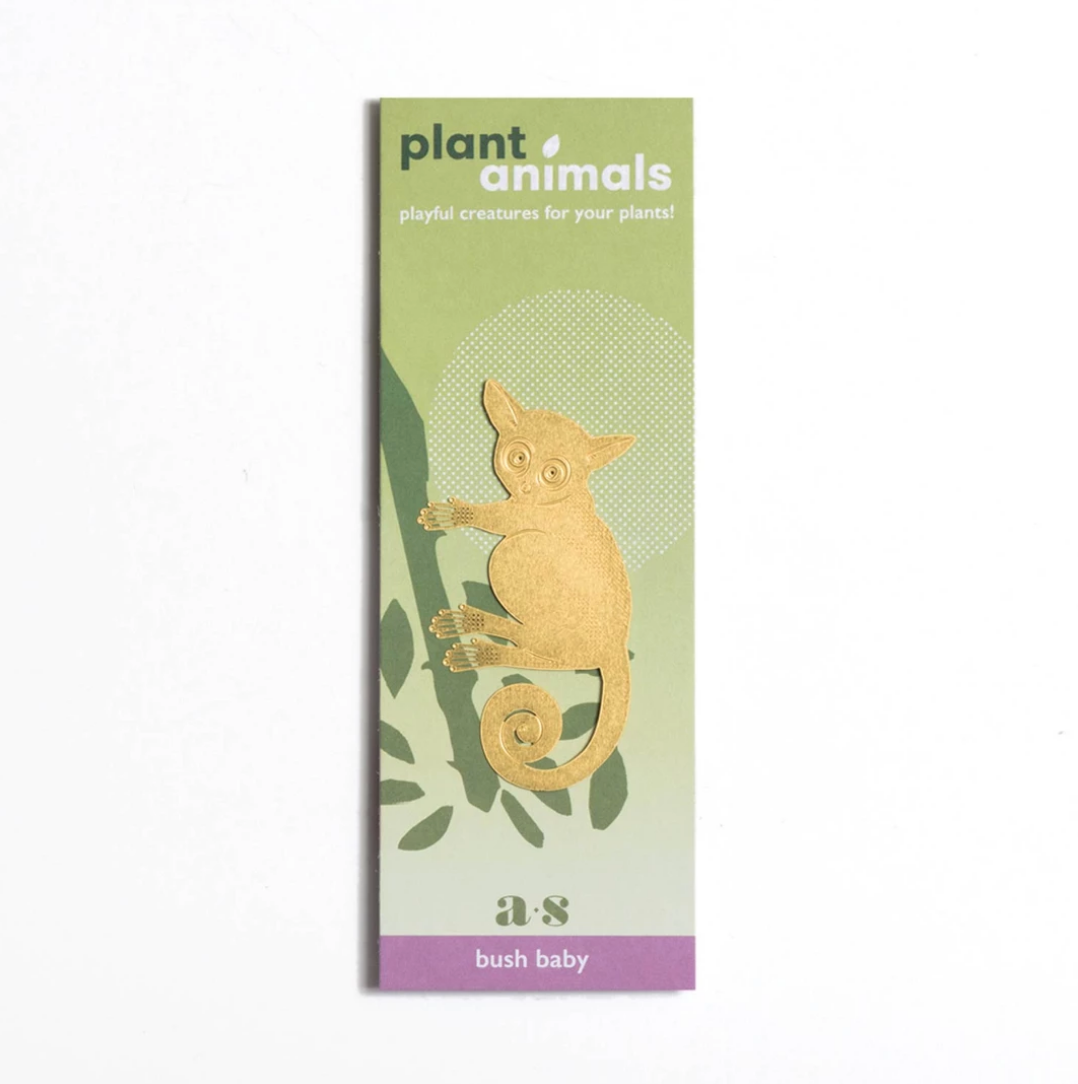 Plant animals