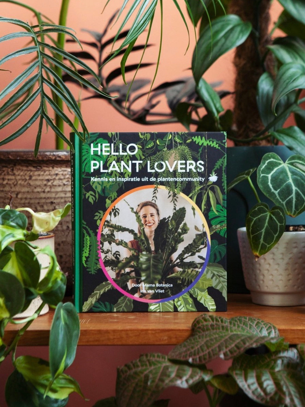 Hello plant lovers